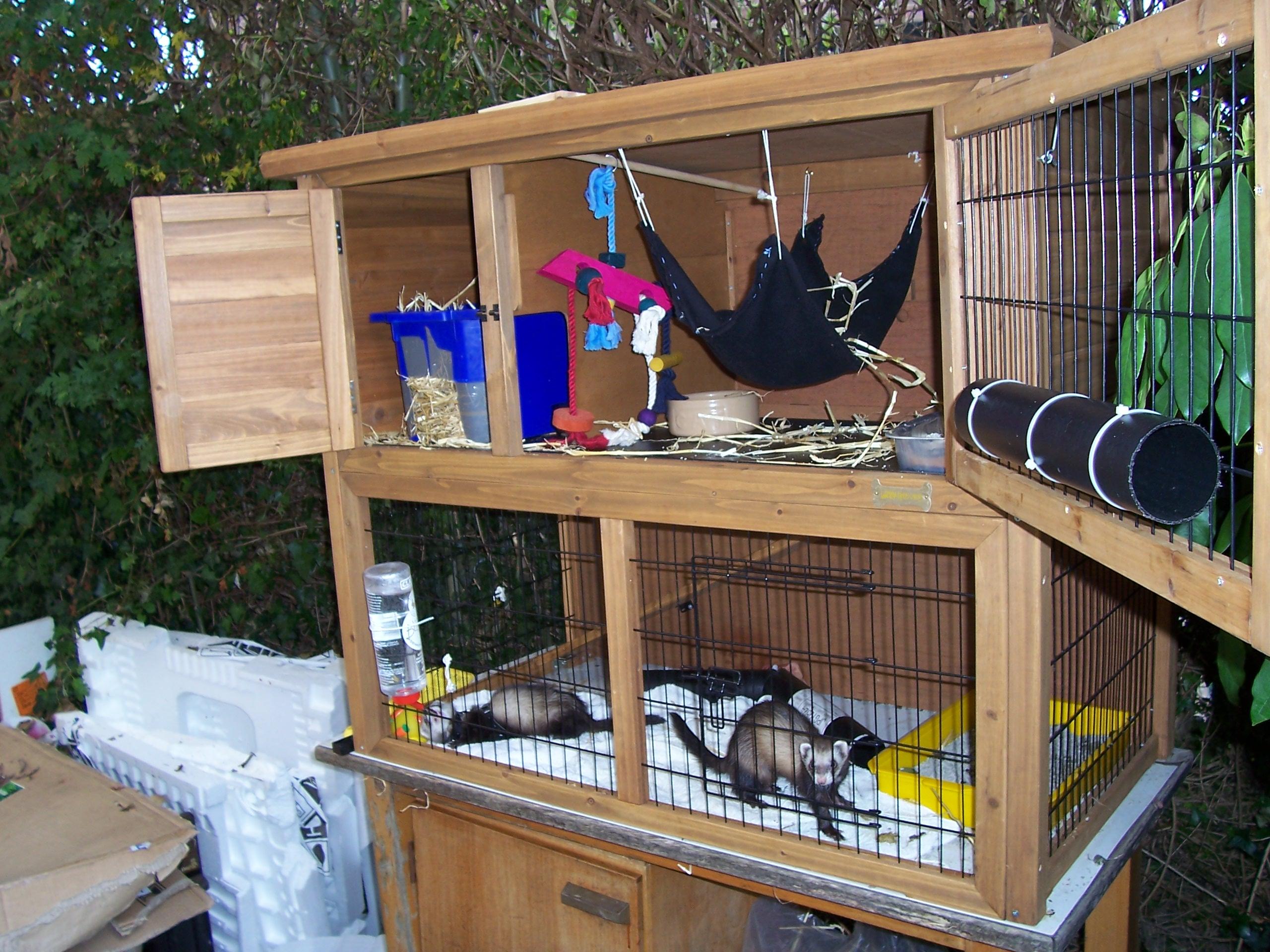 Gem Ferret Care Group